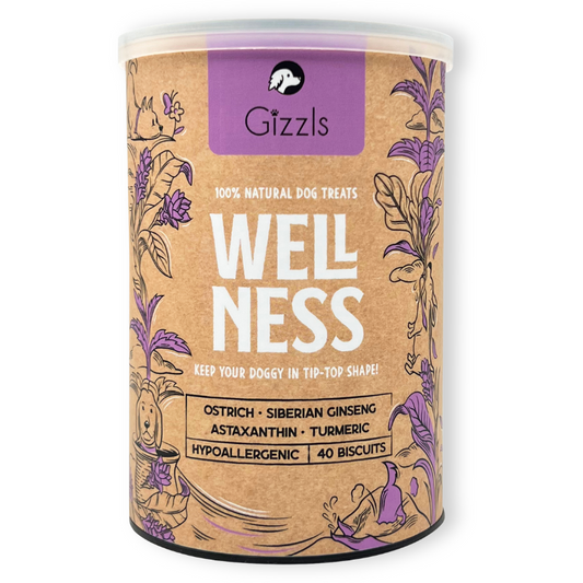 Gizzls Botanicals Wellness Dog Biscuits (40 biscuits)