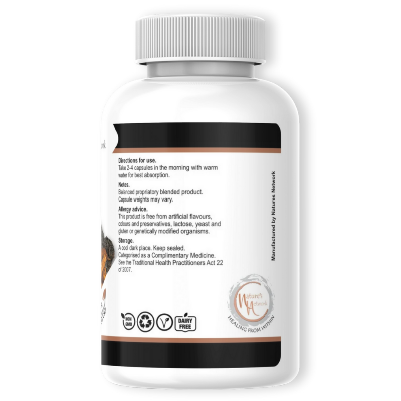 Chaga (90 caps)
