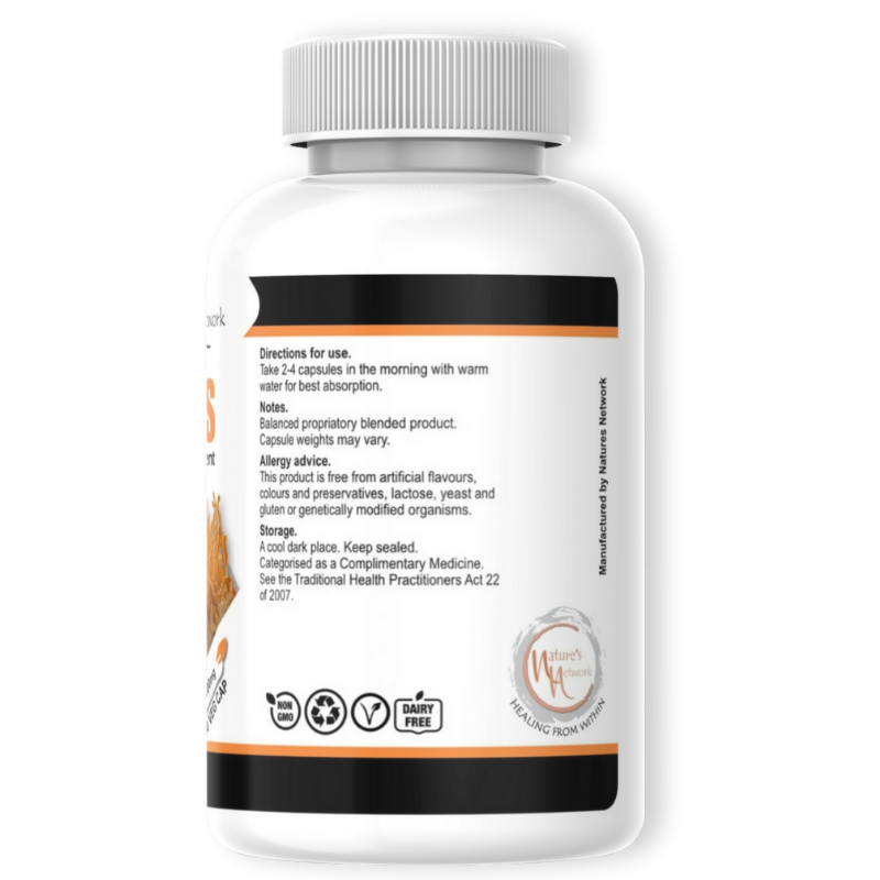 Cordyceps (90 caps)